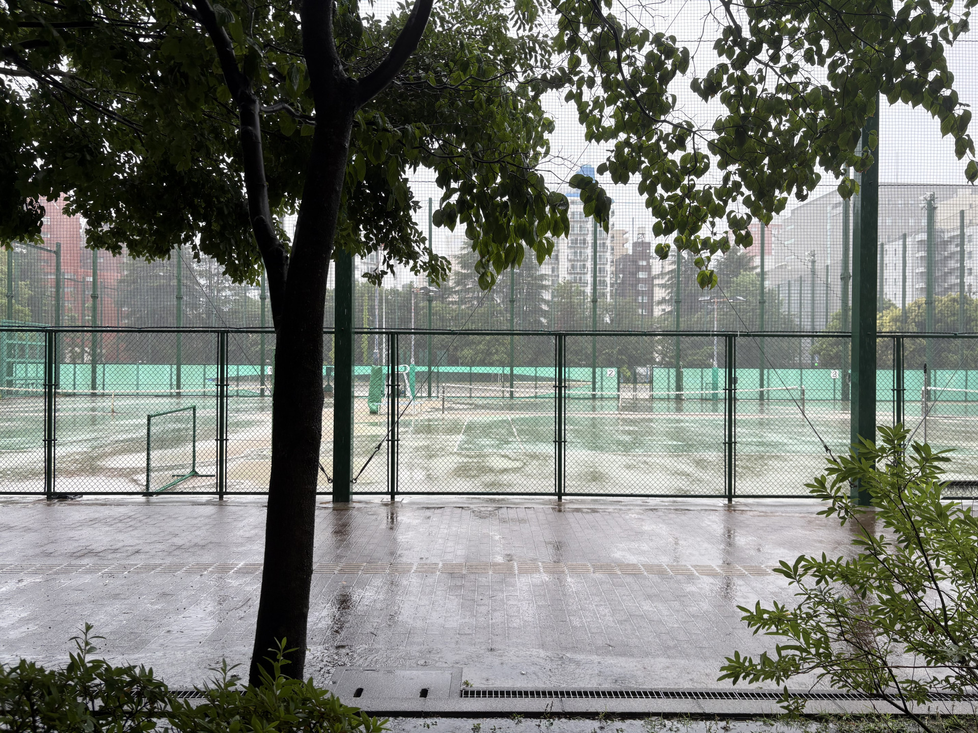 画像 -20260602-233640-2954814e